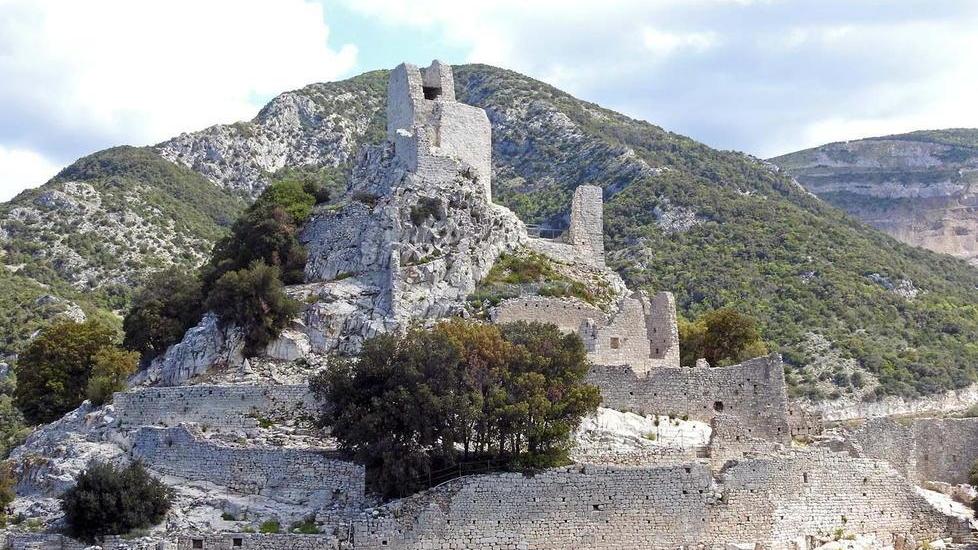 Rubata la fototrappola usata dagli ambientalisti per censire lupi & c.