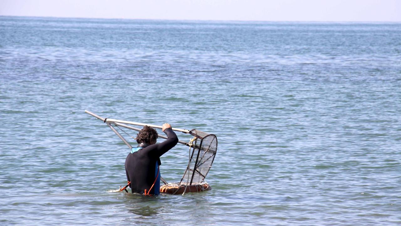Via libera alla pesca delle arselle