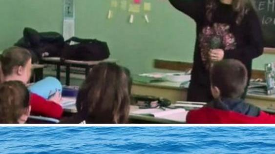 Il morbillo che ha ucciso i delfini all’esame di un team di esperti