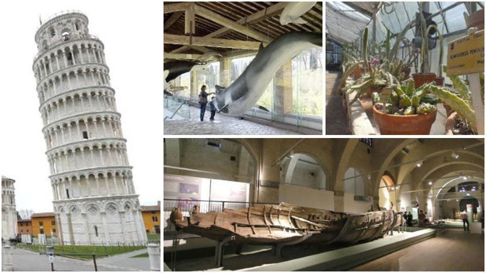 La Torre di Pisa senza turisti, il Museo di storia naturale di Calci, l’Orto botanico di Pisa e il Museo delle Antiche Navi