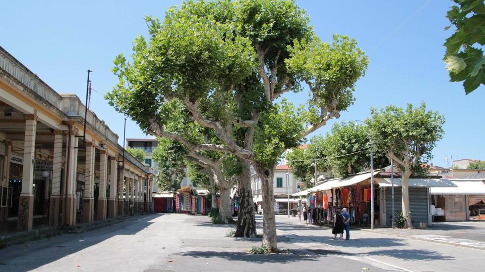 Piazzone, la rabbia dei commercianti