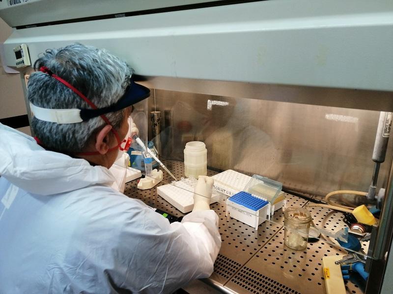 Coronavirus in Sardegna, ancora una giornata senza vittime: 4 nuovi positivi 