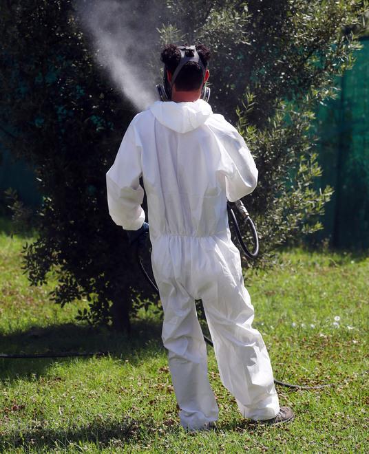 Ferrara, la lotta alle zanzare entra nel vivo. Il Comune sprona i privati