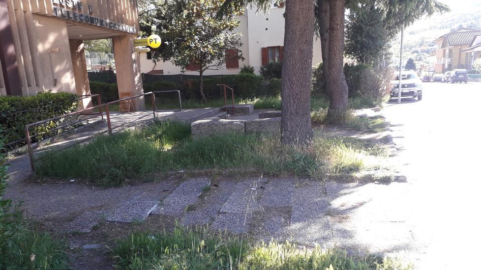 Erba alta ovunque «Vi disegno la mappa»