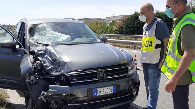Attraversa la statale, travolto e ucciso