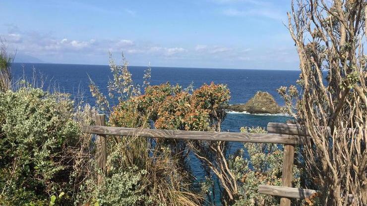 Sentieri malmessi e spezzate gran parte delle staccionate al Parco del Falcone