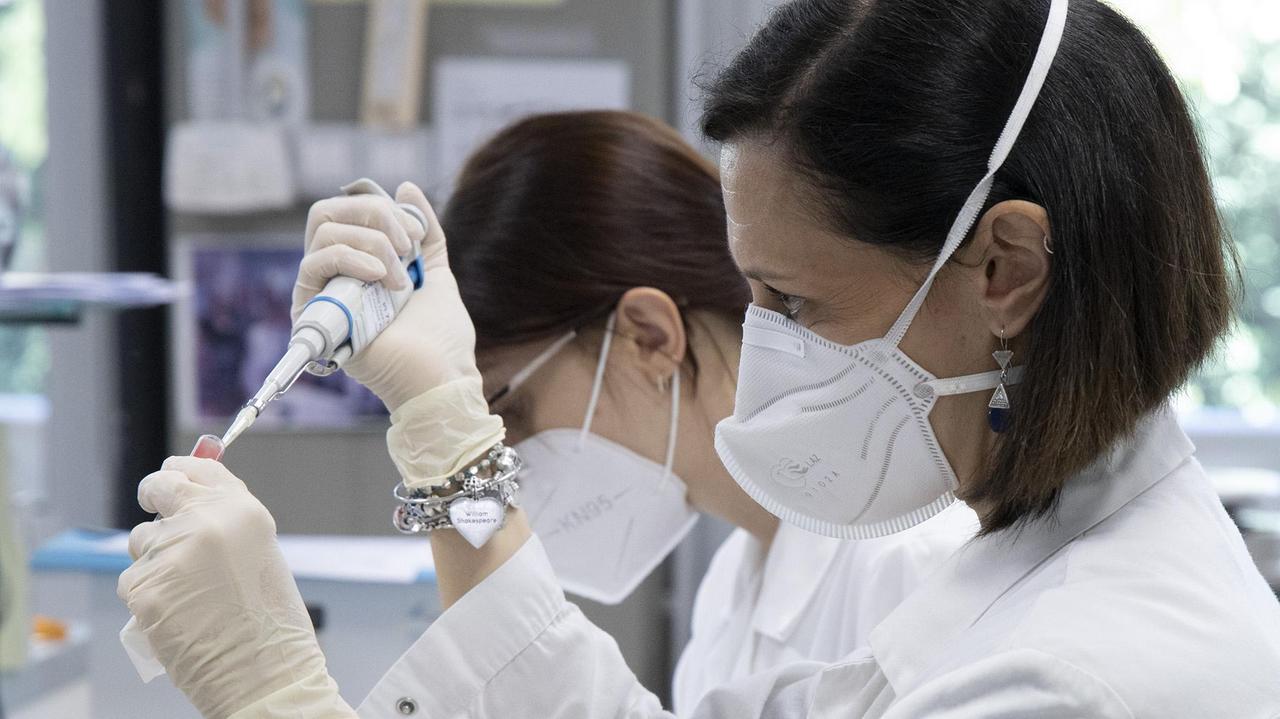 Emilia Romagna, via libera ai test sierologici con ricetta del medico e a pagamento. Gratuiti solo eventuale tamponi di verifica di positività