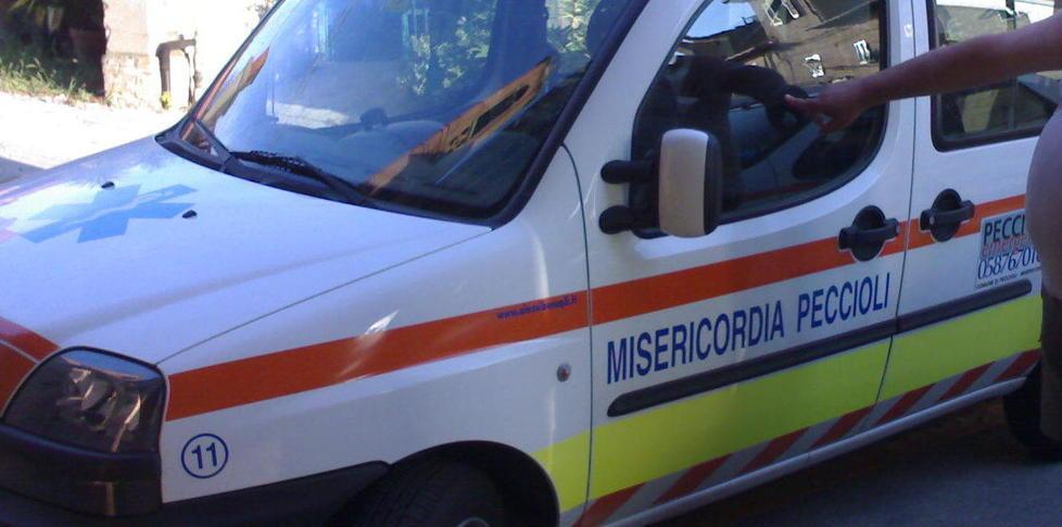 Sposta una fioriera e viene morso da una vipera 