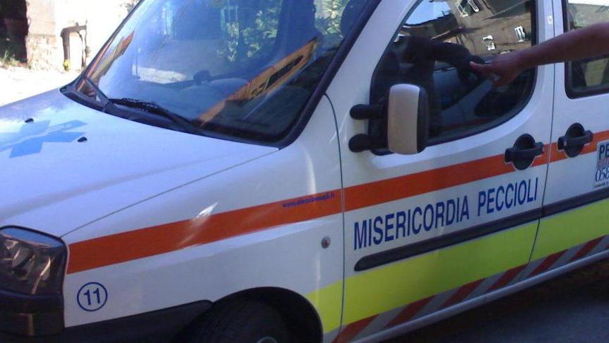 Sposta una fioriera e viene morso da una vipera
