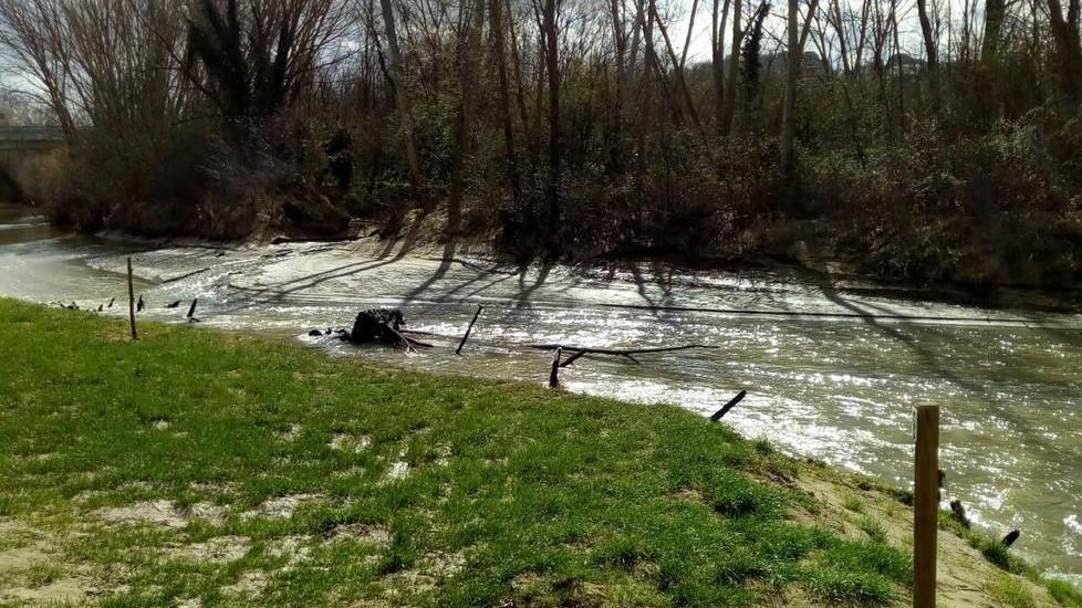 Il ritorno dei pescatori lungo il fiume Elsa e al lago di Tavolese