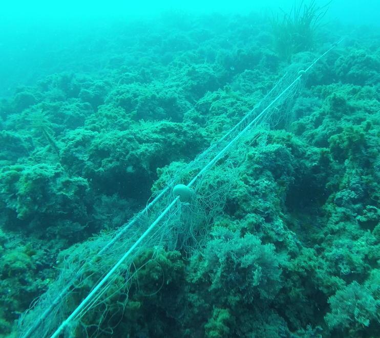 Reti fantasma abbandonate sul fondale di Calafuria, ora tocca alla Capitaneria - Video