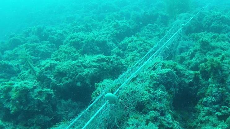 Reti fantasma abbandonate sul fondale di Calafuria, ora tocca alla Capitaneria - Video
