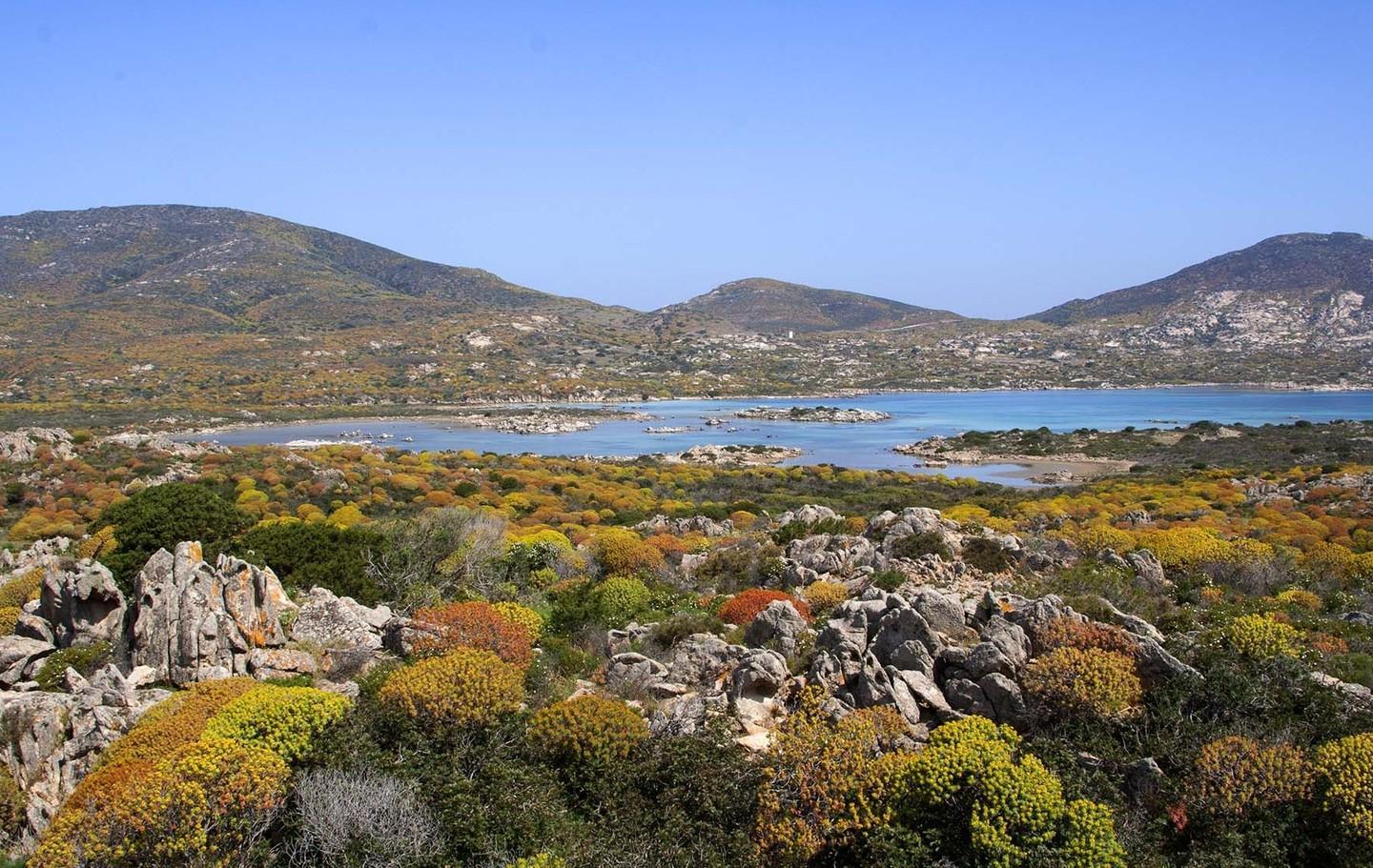 L’Asinara riparte con l’economia ambientale 