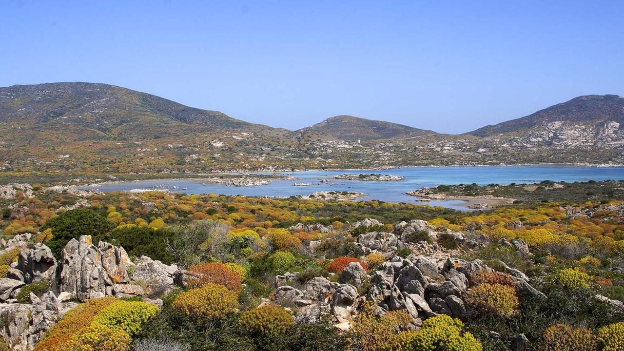 L’Asinara riparte con l’economia ambientale