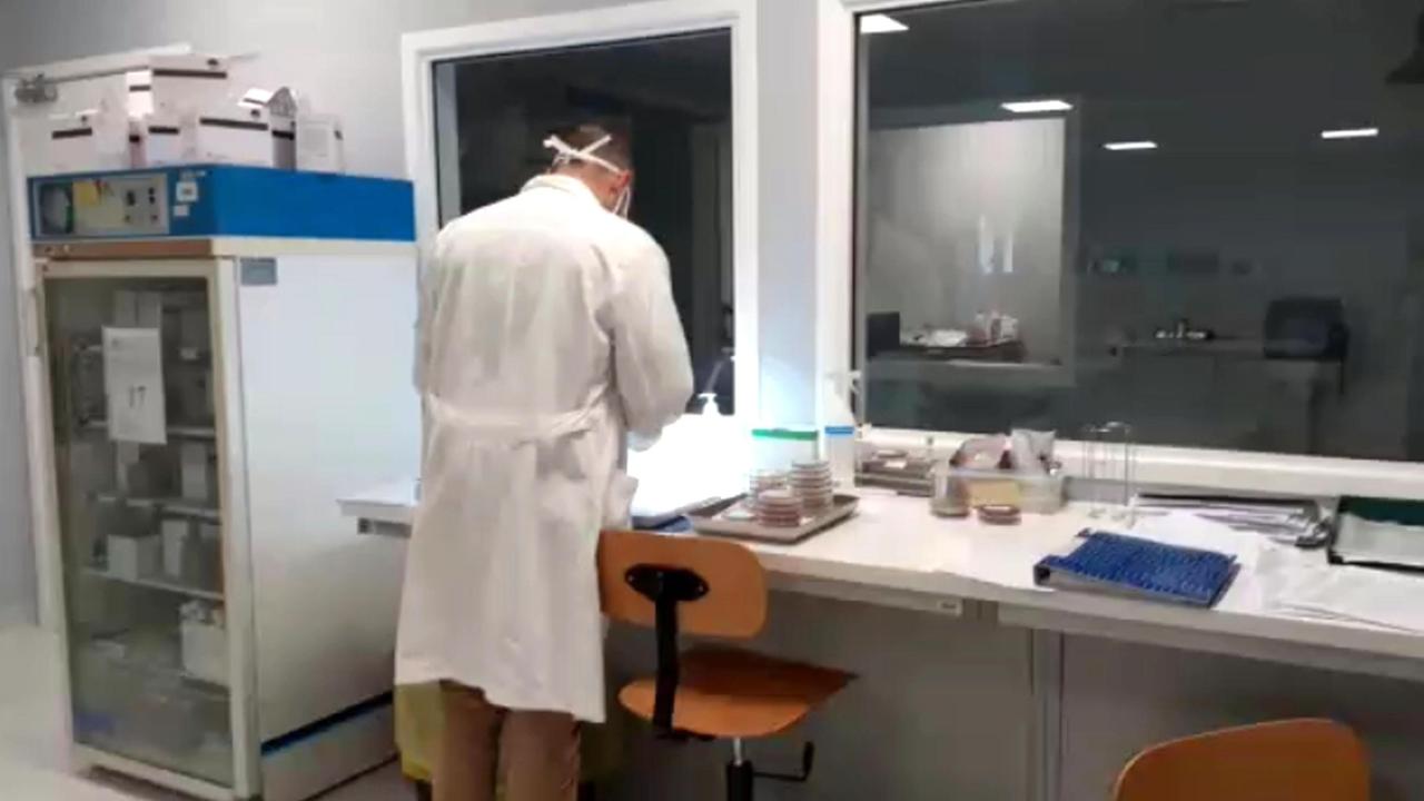 Coronavirus: nessun decesso e nessun nuovo caso nell'Empolese Valdelsa