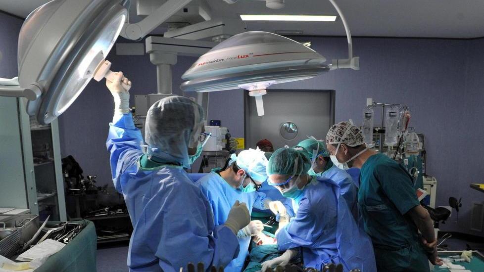 Trapianto di fegato nella notte salva la vita a una sessantenne
