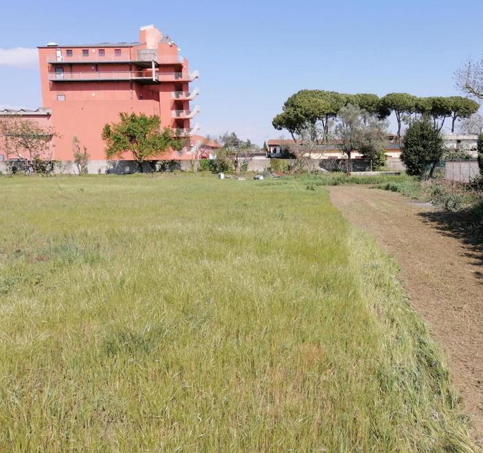 Un ettaro di terreno a Cascina accoglierà il nuovo Bioparco 