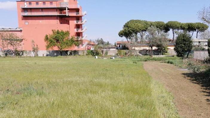Un ettaro di terreno a Cascina accoglierà il nuovo Bioparco