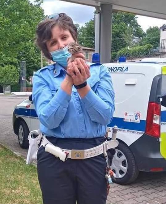 Faso: «Niente circo a Sassuolo Prima serve un’area dedicata» 