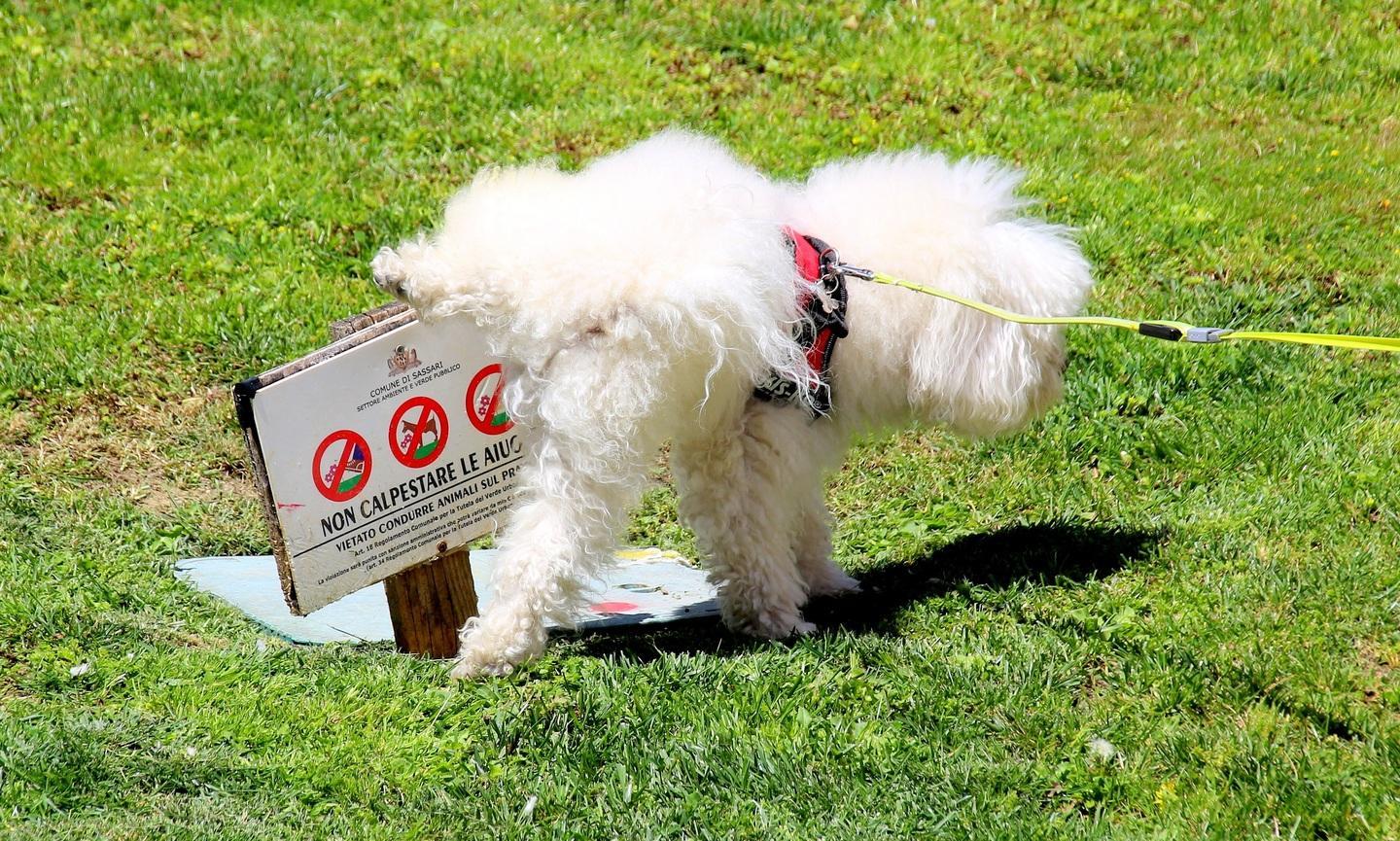 Il cartello e la padrona maleducata