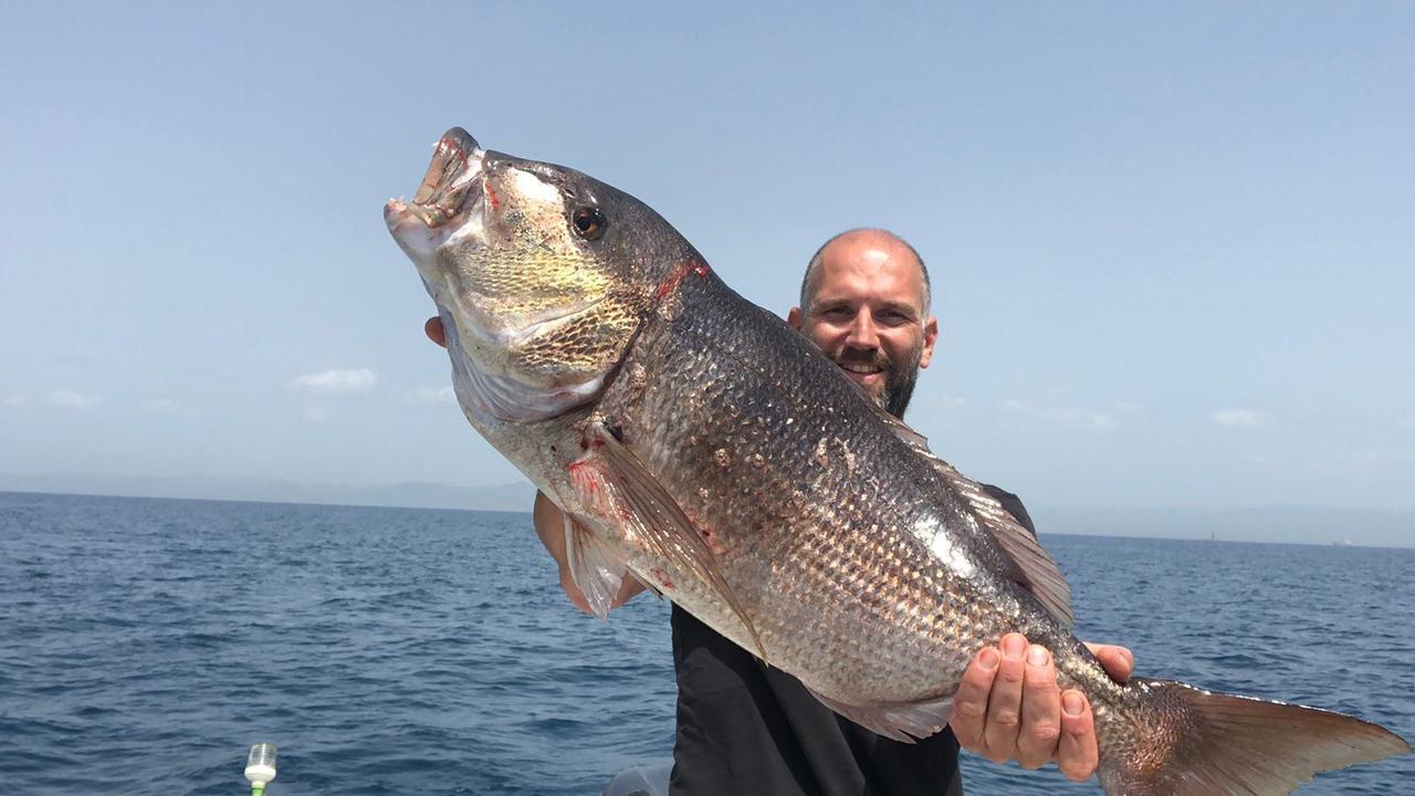 Pesca un dentice di 10 chilogrammi