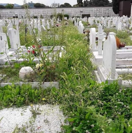 Italia Viva: «Erbacce e degrado nei cimiteri»
