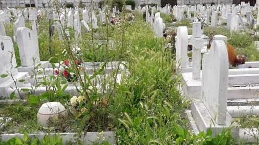 Italia Viva: «Erbacce e degrado nei cimiteri»