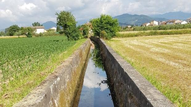 Stagione siccitosa, il Consorzio ha avviato la distribuzione d’acqua