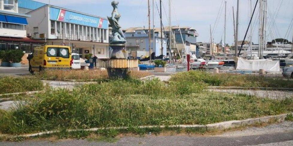 Erba alta nel cuore del porto