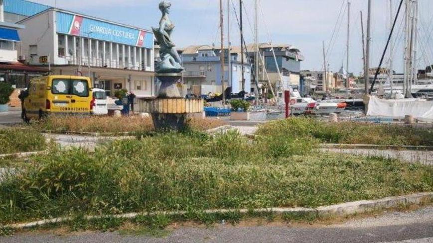 Erba alta nel cuore del porto