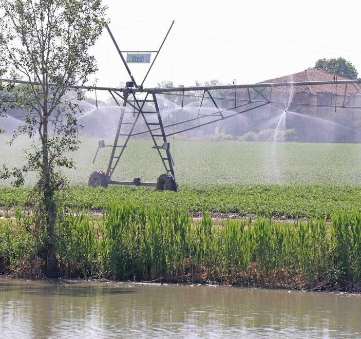 Mammi: «Prestiti agevolati a 1.400 aziende agricole» 