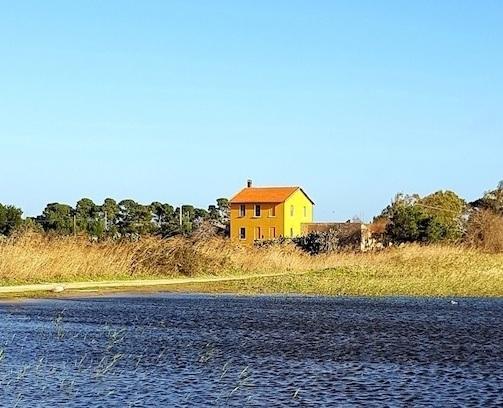 Una città più vivibile con 40mila nuovi alberi 