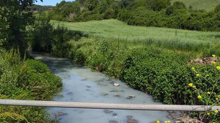 Padria, il rio Molinu inquinato dagli scarichi 