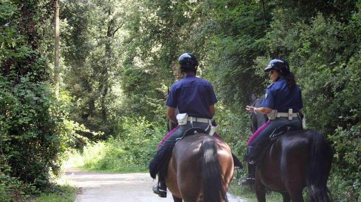 Spiagge e pinete pattugliate con i volontari a cavallo