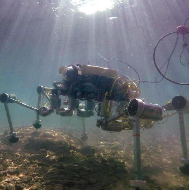 La Bandiera Blu continua a sventolare sul litorale pisano