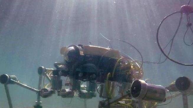 La Bandiera Blu continua a sventolare sul litorale pisano