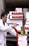 Marr in flessione