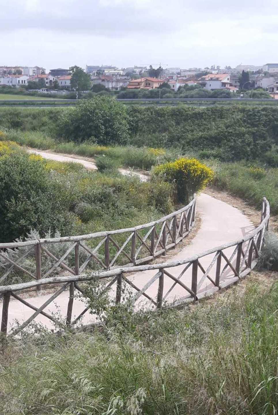 La pista ciclabile liberata dalle erbacce