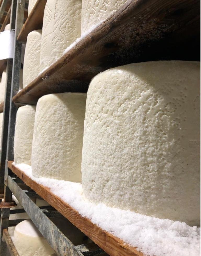 Cura Italia, il sostegno al pecorino sardo fa scuola 