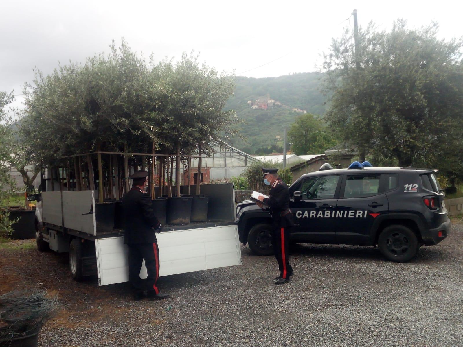 Furti nei vivai, arrestato un 58enne 