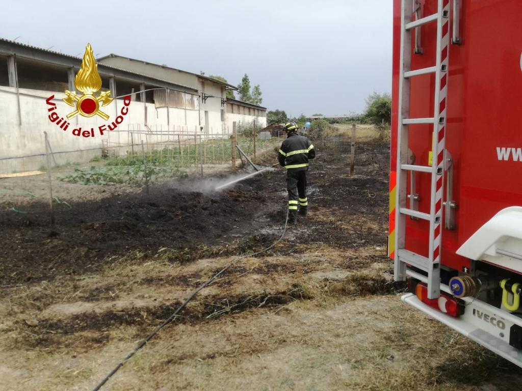Incendi e alberi abbattuti per la furia del vento nell'Oristanese