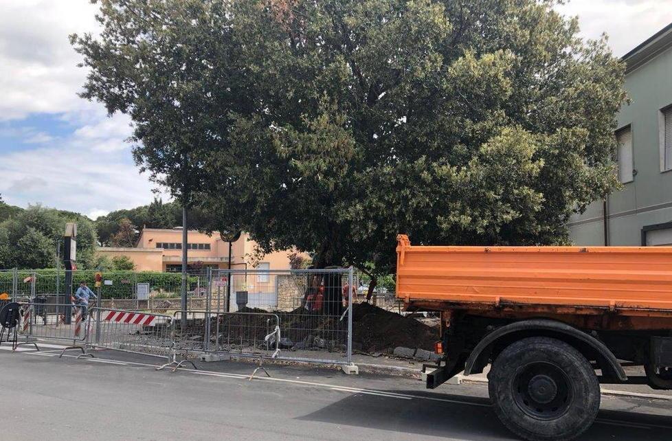 Nuovi arredi e più cura per l’aiuola di Senzuno
