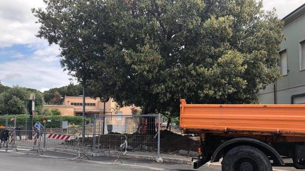 Nuovi arredi e più cura per l’aiuola di Senzuno