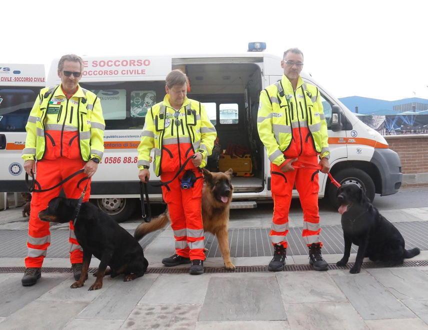 Il Dog Day diventa virtuale Settimana su Facebook tutta per i quattro zampe 