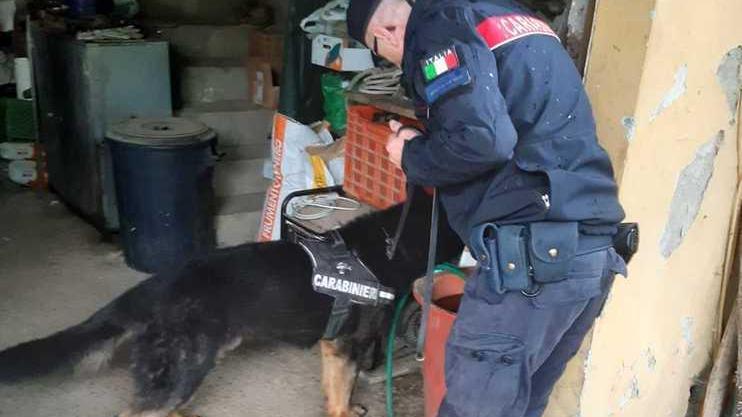 Denunciato dai carabinieri per le munizioni proibite che ha nascosto in casa