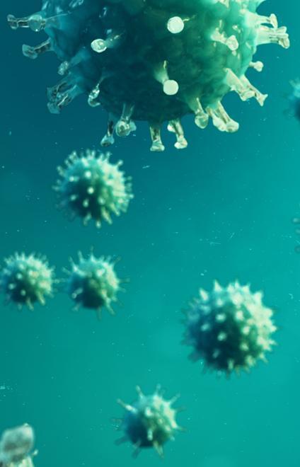 Folla e virus 