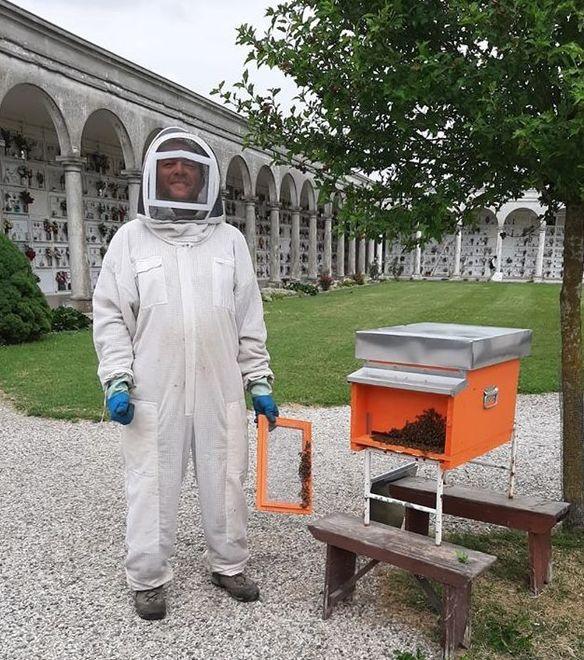 Sciame di api al cimitero Già spostate nell’apiario