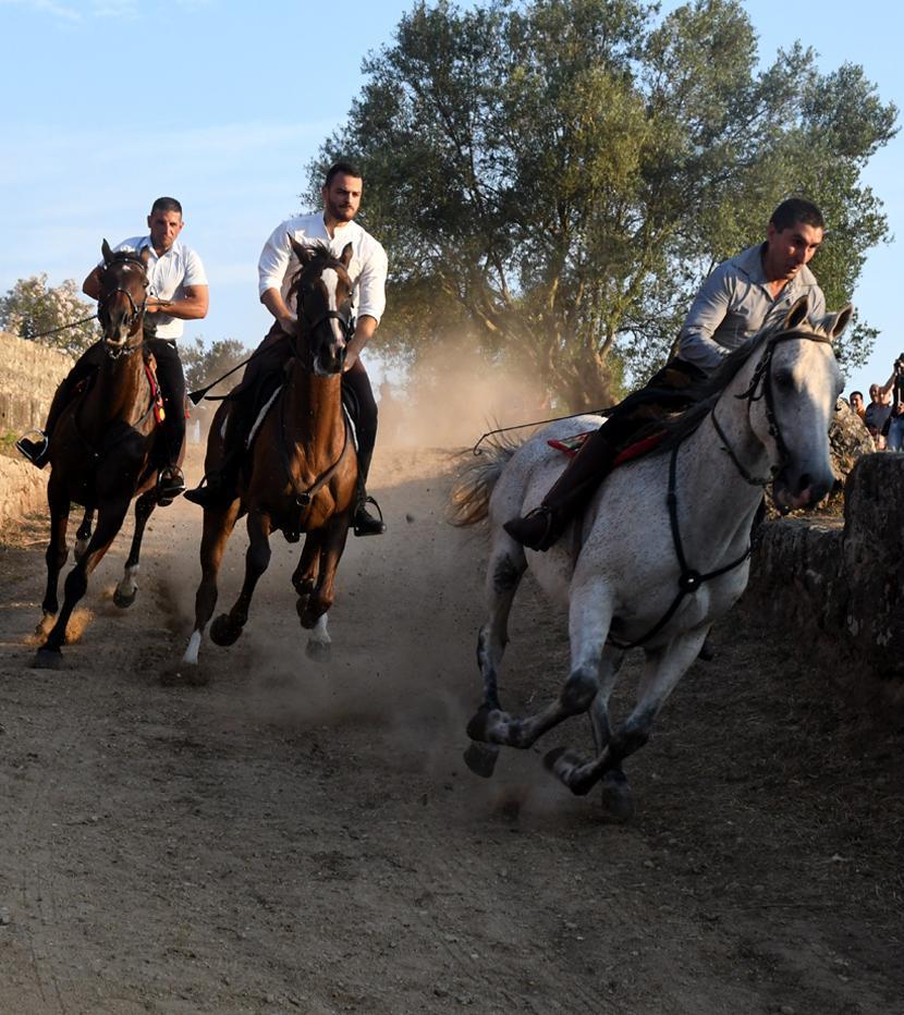 Sedilo costretto alla resa: quest’anno niente Ardia 