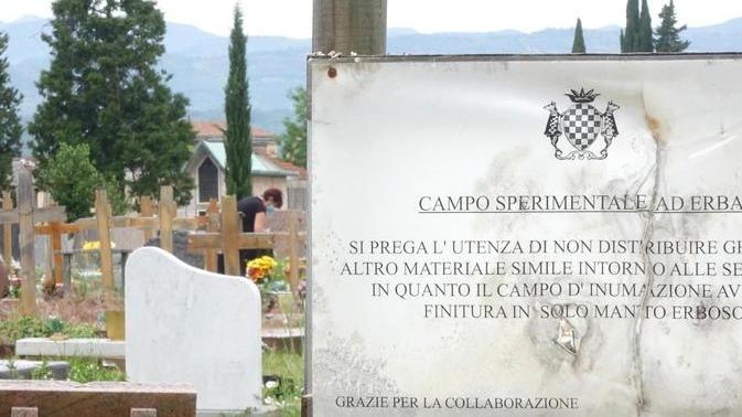 Ancora erba alta al Cimitero Principale: comune nel mirino accusa la burocrazia