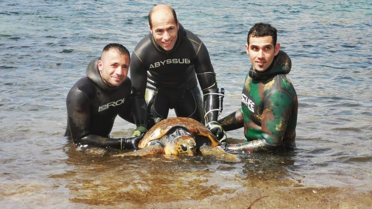 Alberto Testori, Fabio Doro e Andrea Sechi con la tartaruga nelle acque di Porto Palmas